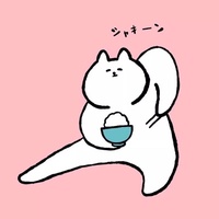 时光策展人